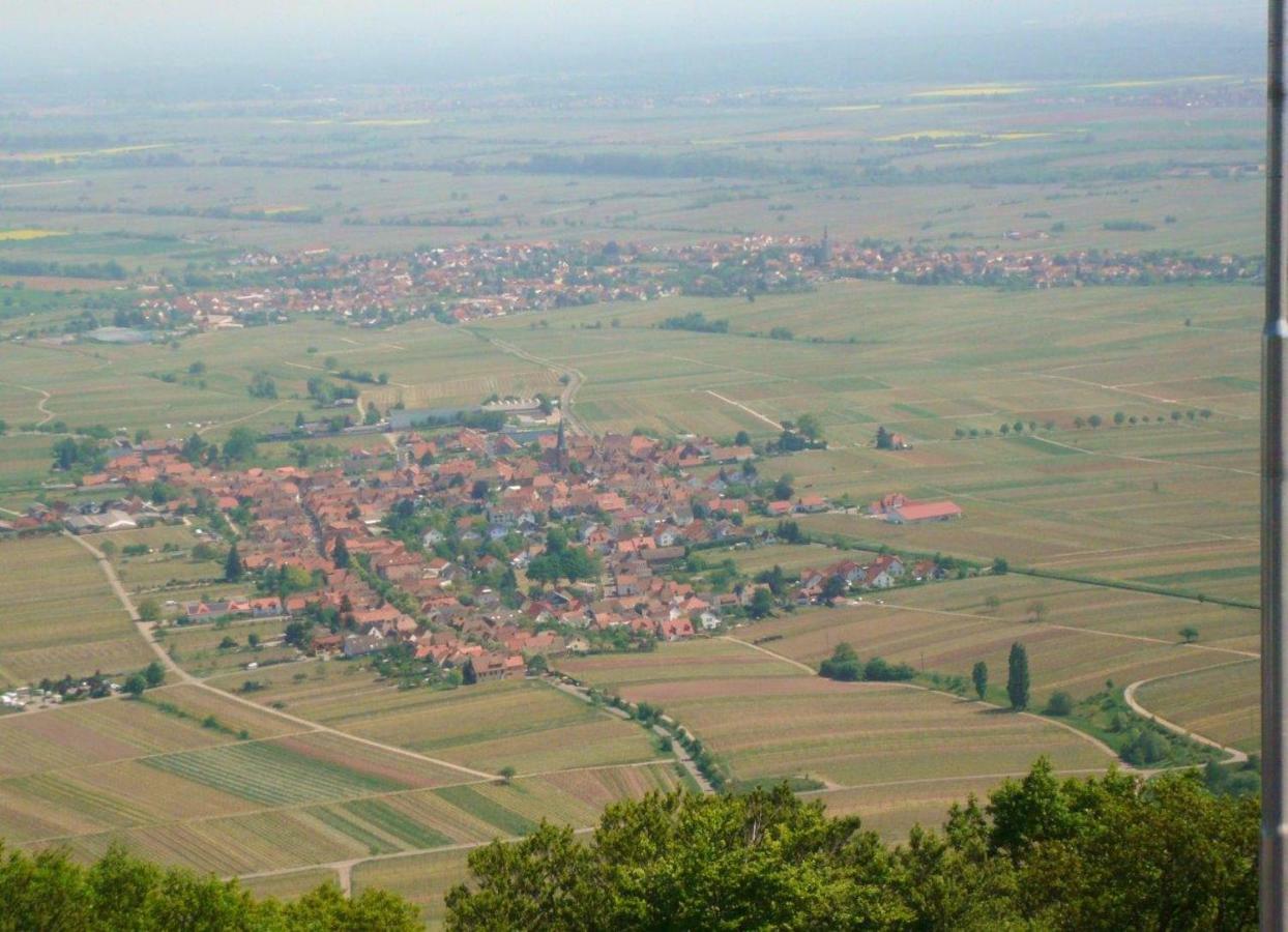 Phoenix Aus Der Asche Rhodt unter Rietburg Exterior foto