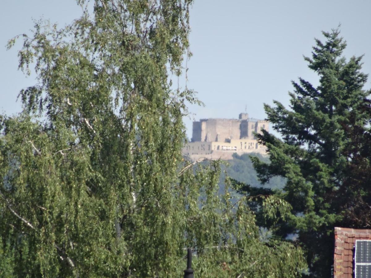 Phoenix Aus Der Asche Rhodt unter Rietburg Exterior foto