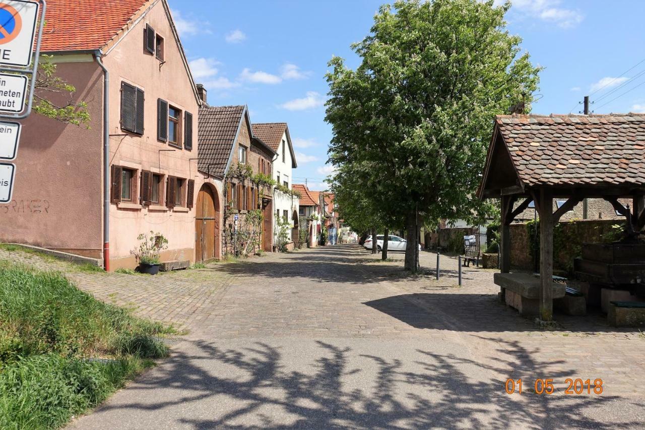 Phoenix Aus Der Asche Rhodt unter Rietburg Exterior foto